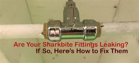 do sharkbite fittings leak|How to Fix a Leaking SharkBite Fitting